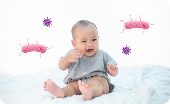 bordetella-stock-03