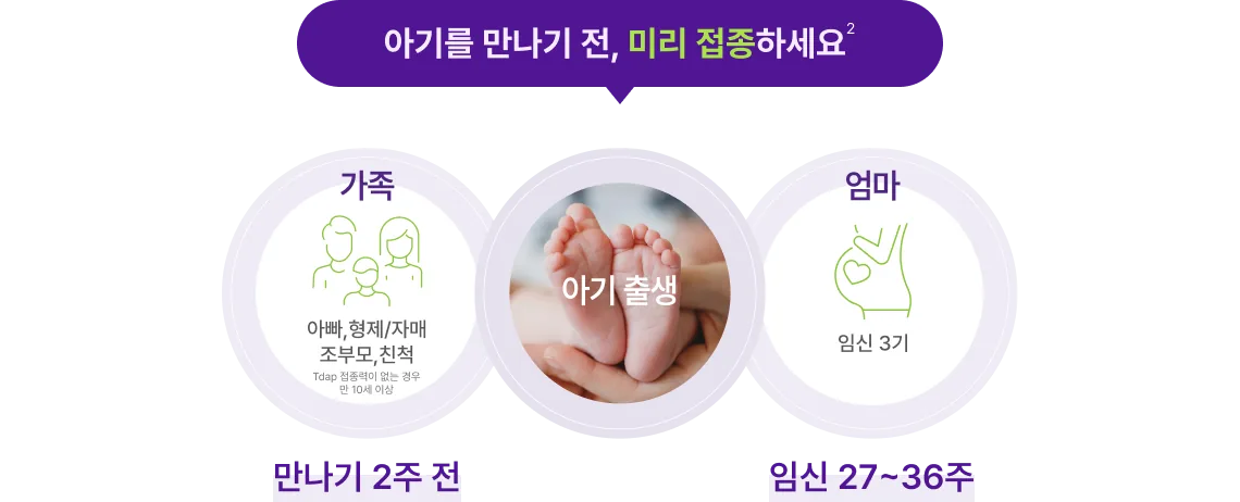 영아 백일해 예방을 위한 수동면역과 코쿠닝